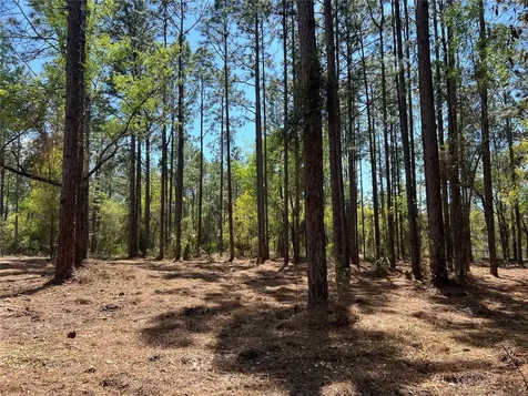 24 SE 130 Court Dunnellon FL 34431