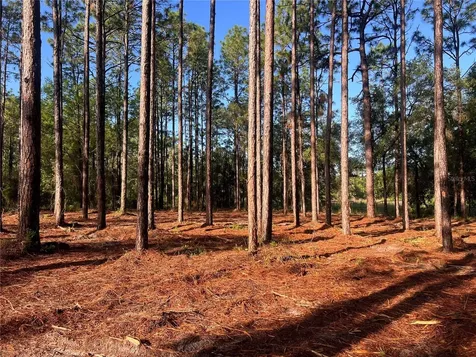 24 SE 130 Court Dunnellon FL 34431