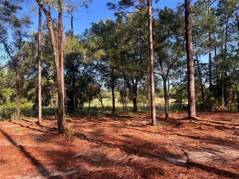 24 SE 130 Court Dunnellon FL 34431