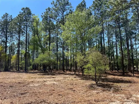 24 SE 130 Court Dunnellon FL 34431