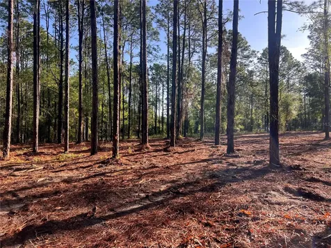 24 SE 130 Court Dunnellon FL 34431