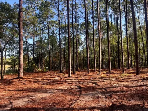 24 SE 130 Court Dunnellon FL 34431