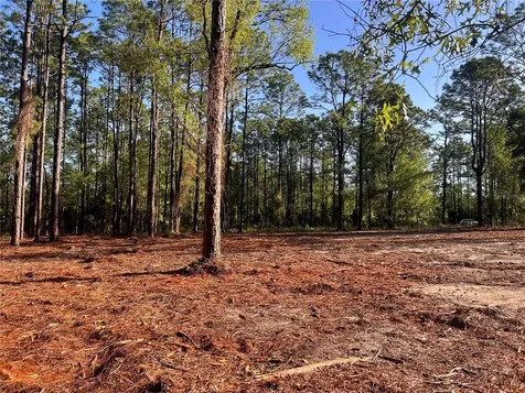 24 SE 130 Court Dunnellon FL 34431