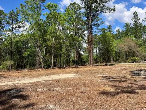 24 SE 130 Court Dunnellon FL 34431