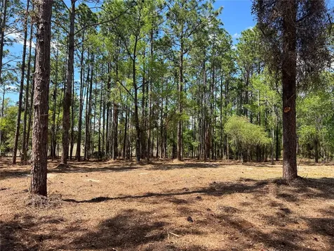 24 SE 130 Court Dunnellon FL 34431