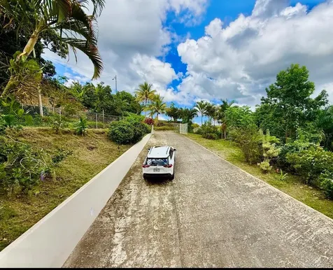 Carr. 111 Ramal 451 Km 0.2 Sect. Jimenez Bo. Eneas San Sebastian PR 00685