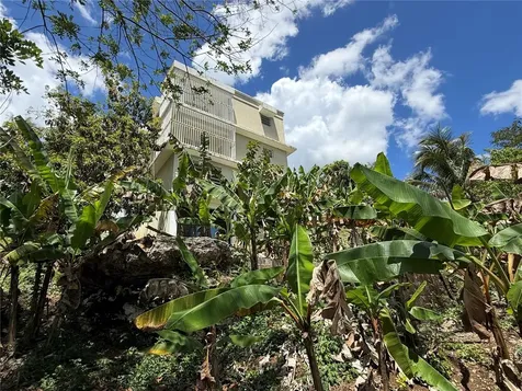 Carr. 111 Ramal 451 Km 0.2 Sect. Jimenez Bo. Eneas San Sebastian PR 00685