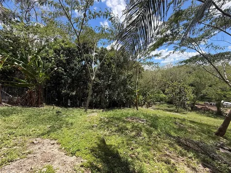 Carr. 111 Ramal 451 Km 0.2 Sect. Jimenez Bo. Eneas San Sebastian PR 00685