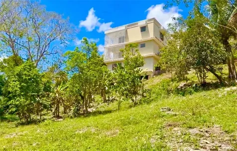 Carr. 111 Ramal 451 Km 0.2 Sect. Jimenez Bo. Eneas San Sebastian PR 00685