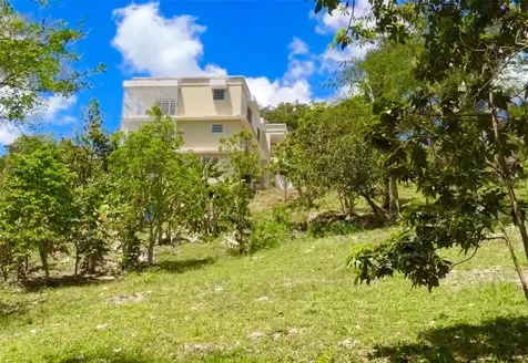 Carr. 111 Ramal 451 Km 0.2 Sect. Jimenez Bo. Eneas San Sebastian PR 00685