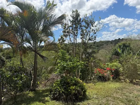 Carr. 111 Ramal 451 Km 0.2 Sect. Jimenez Bo. Eneas San Sebastian PR 00685