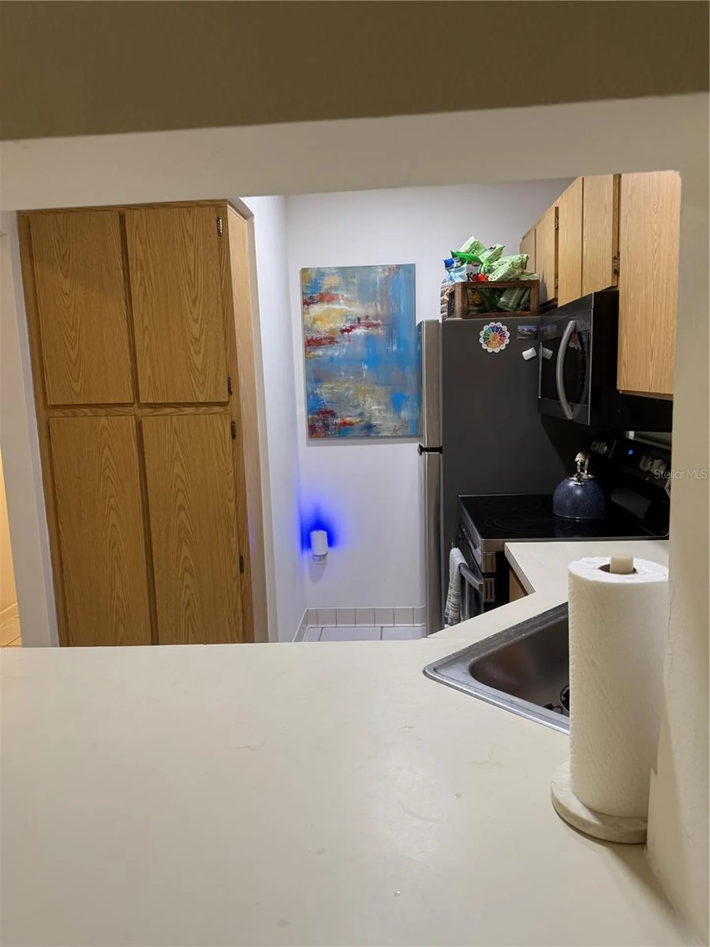 1236 Pine Ridge Circle W Tarpon Springs FL 34688