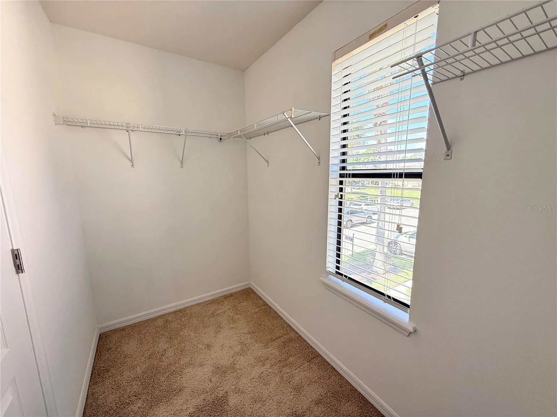 10243 Villa Palazzo Court Tampa FL 33615