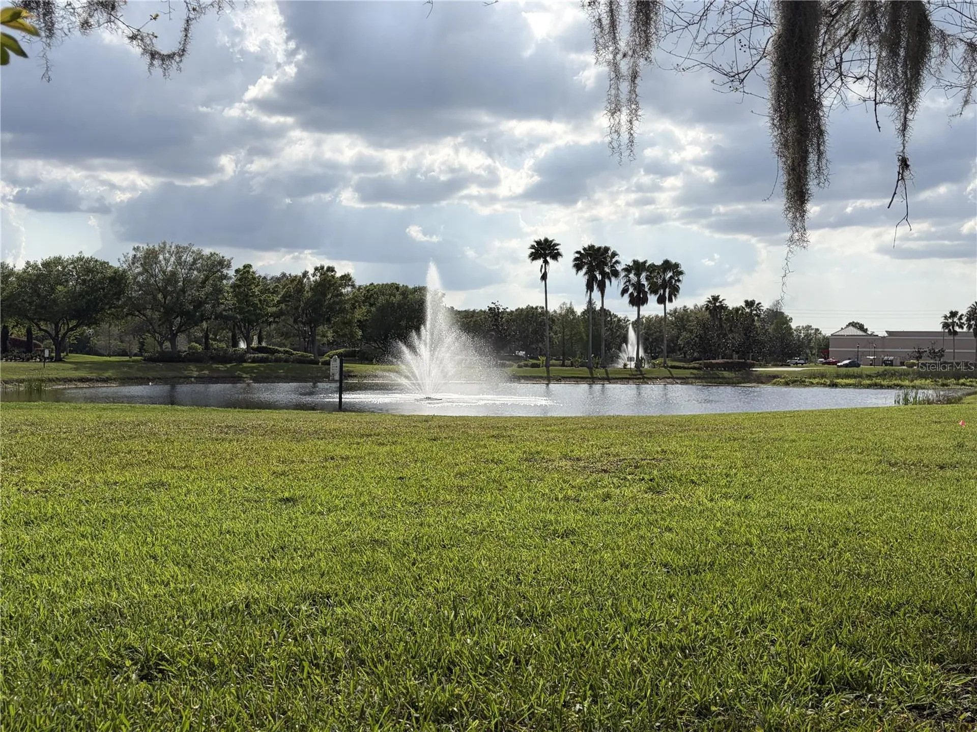 8914 Iron Oak Tampa FL 33647