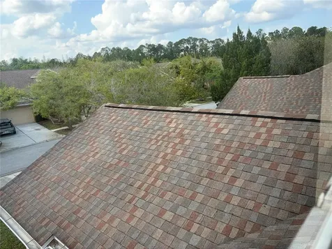 8914 Iron Oak Tampa FL 33647