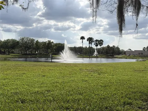 8914 Iron Oak Tampa FL 33647