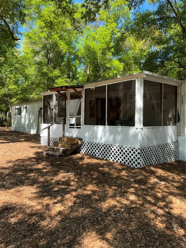 24533 Pink Panther Road Paisley FL 32767