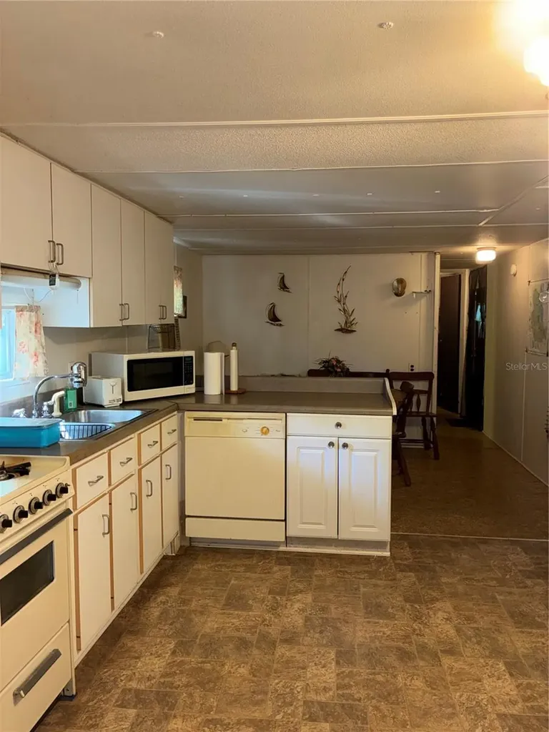 24533 Pink Panther Road Paisley FL 32767