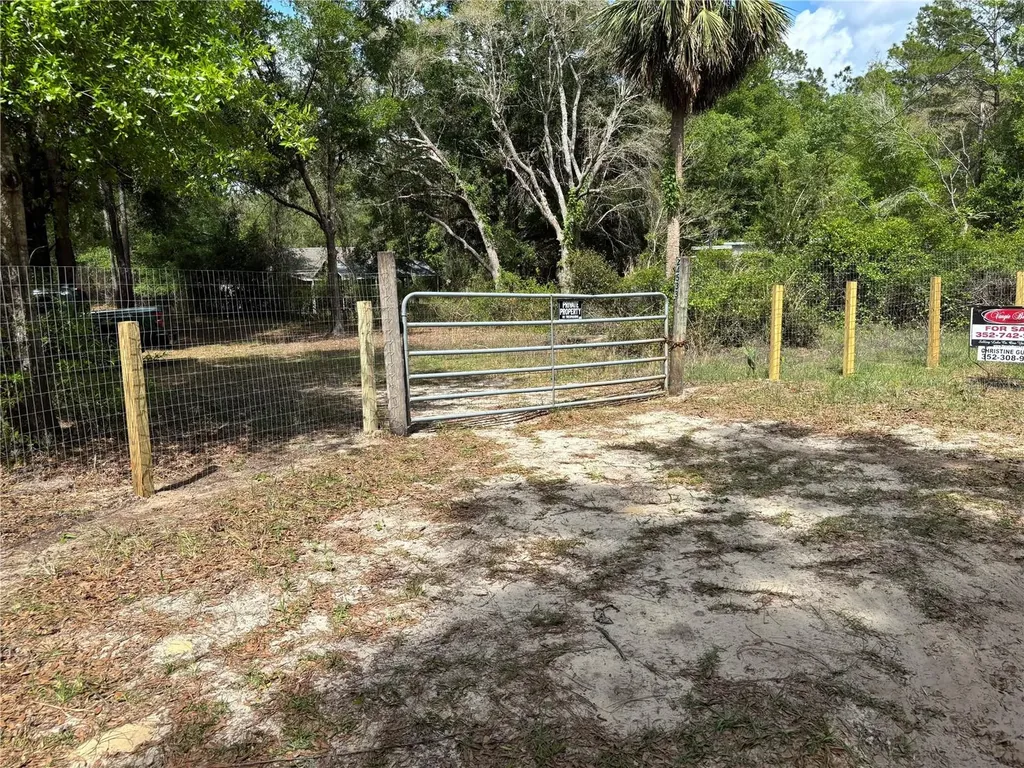 24533 Pink Panther Road Paisley FL 32767