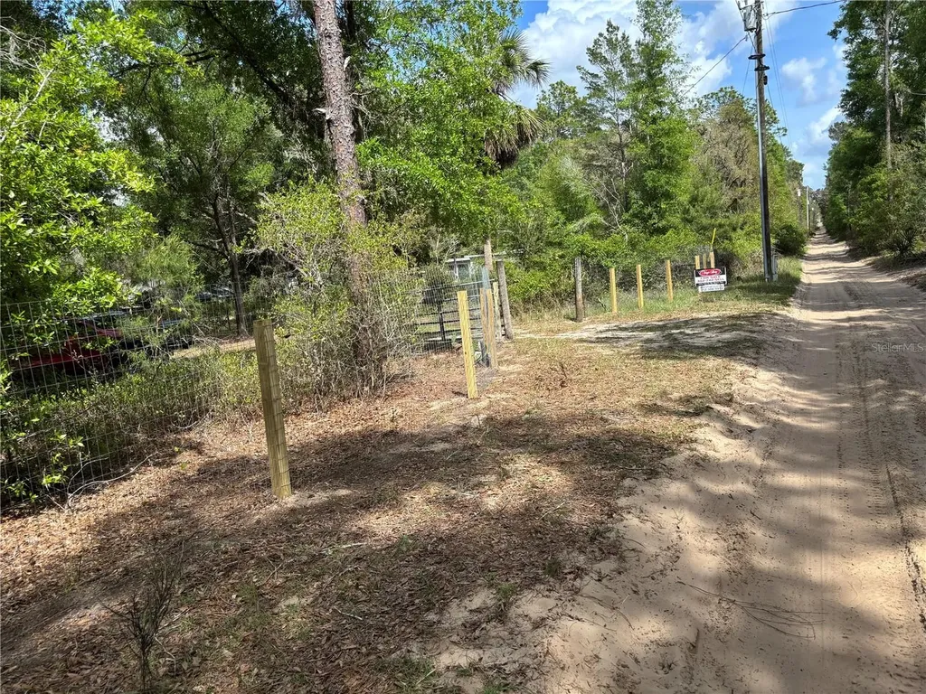 24533 Pink Panther Road Paisley FL 32767