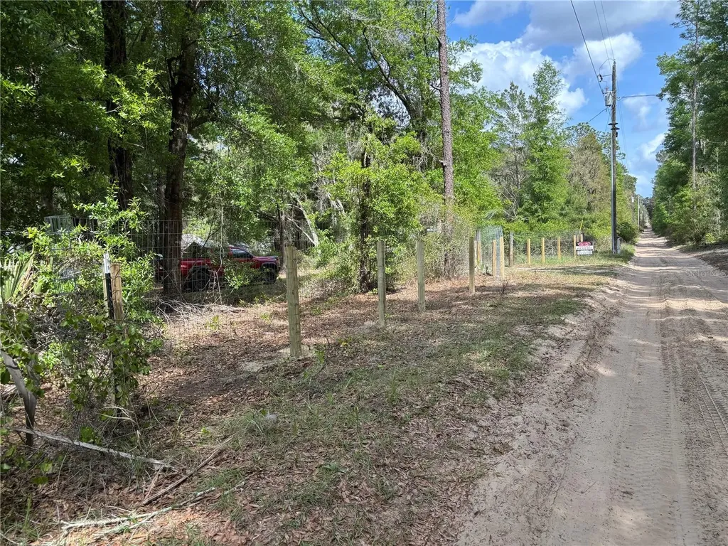 24533 Pink Panther Road Paisley FL 32767