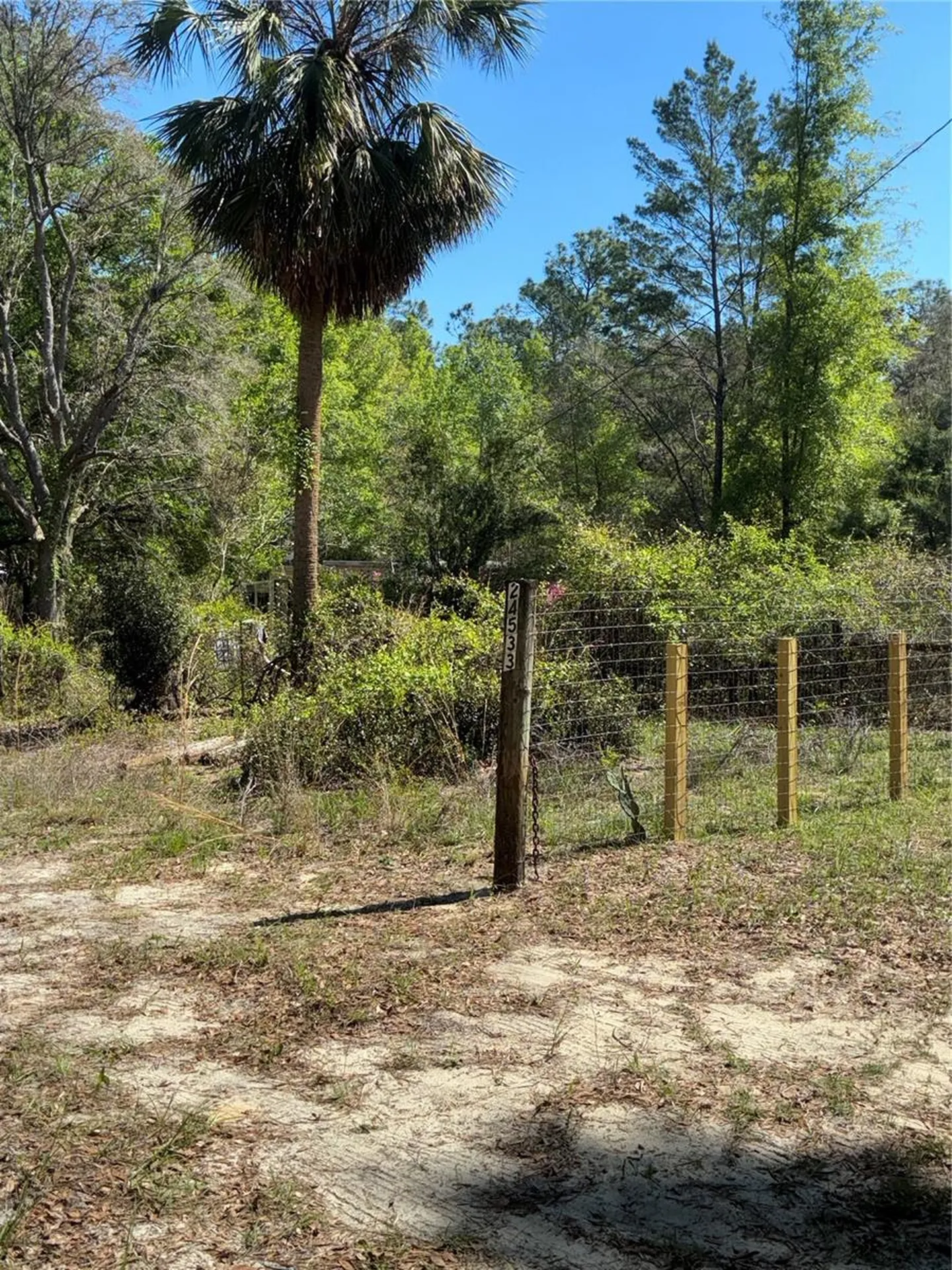 24533 Pink Panther Road Paisley FL 32767