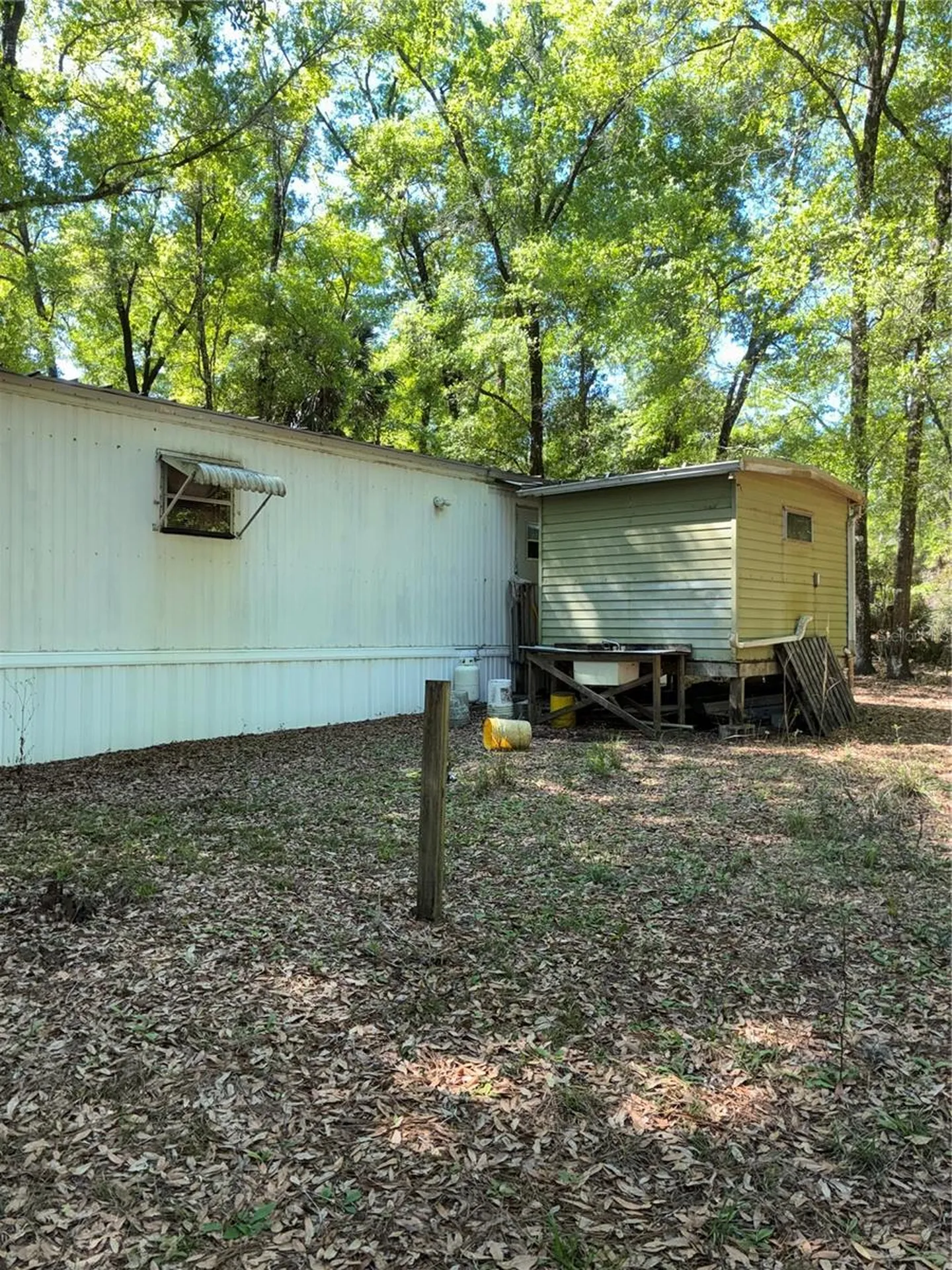24533 Pink Panther Road Paisley FL 32767