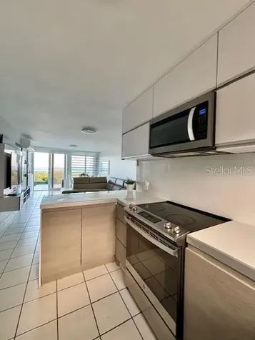 Condo. Costa Esmeralda Calle Colonia Santa Maria Cliff Ceiba PR 00735