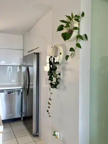 Condo. Costa Esmeralda Calle Colonia Santa Maria Cliff Ceiba PR 00735
