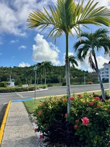 Condo. Costa Esmeralda Calle Colonia Santa Maria Cliff Ceiba PR 00735