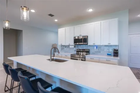 11220 Bram Bay Court San Antonio FL 33576
