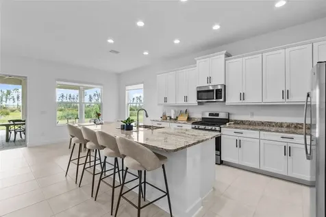 32588 Tree Of Life Avenue Wesley Chapel FL 33543