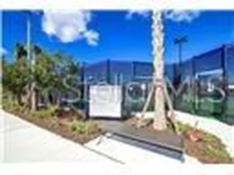 32588 Tree Of Life Avenue Wesley Chapel FL 33543