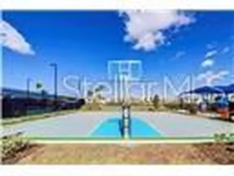 32588 Tree Of Life Avenue Wesley Chapel FL 33543