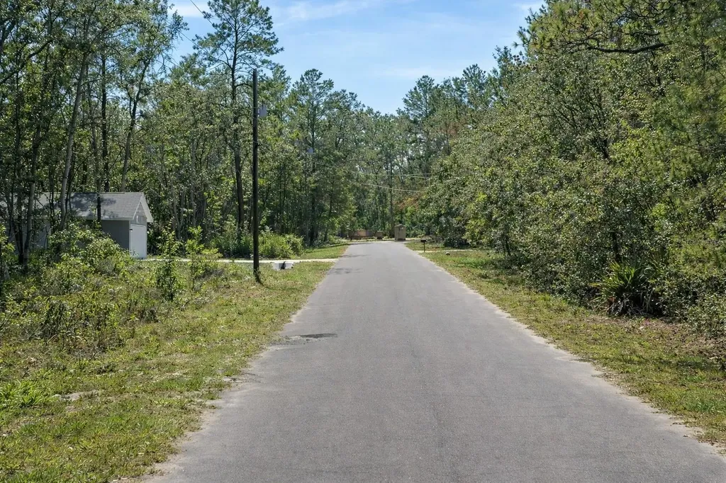 Malauka Pass Circle Ocklawaha FL 32179