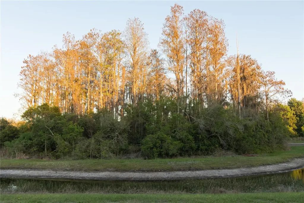 3037 Downan Point Drive Land O Lakes FL 34638