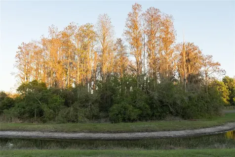 3037 Downan Point Drive Land O Lakes FL 34638