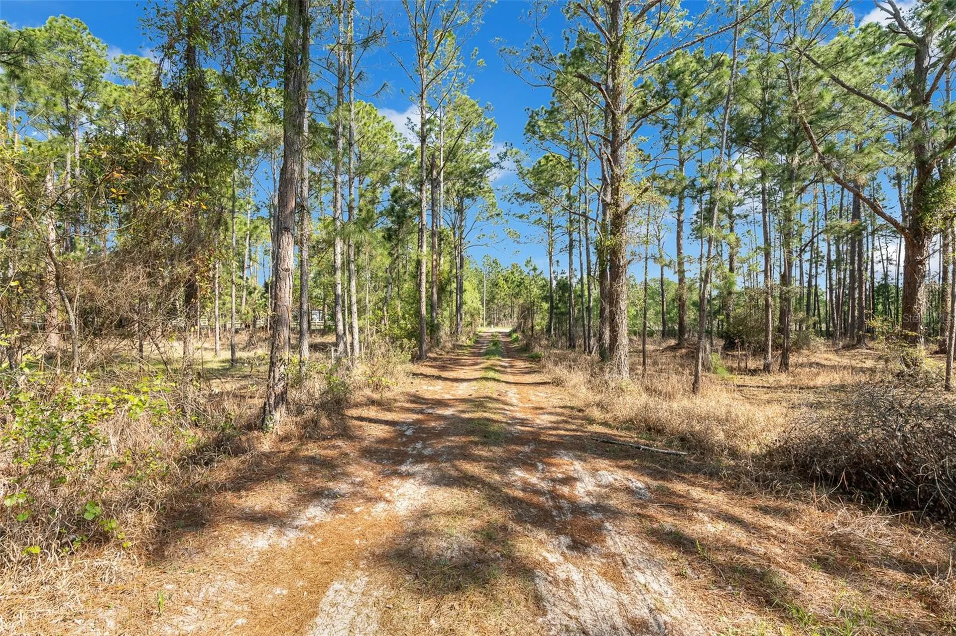 32404 Highland Lakes Road Deland FL 32720