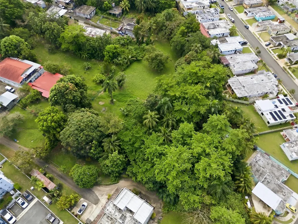 862 Street Bayamon PR 00961
