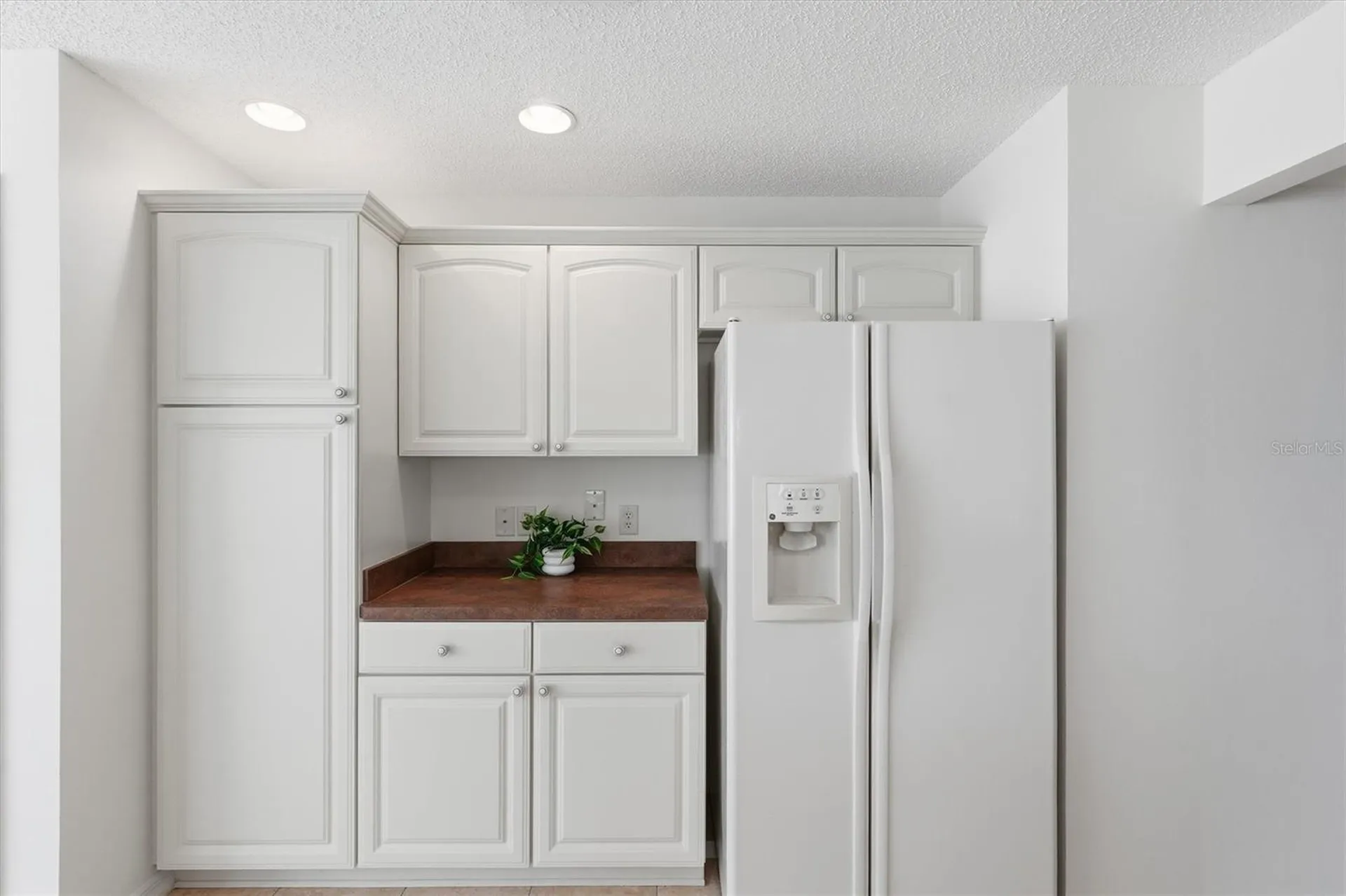 1563 Eastover Terrace The Villages FL 32162