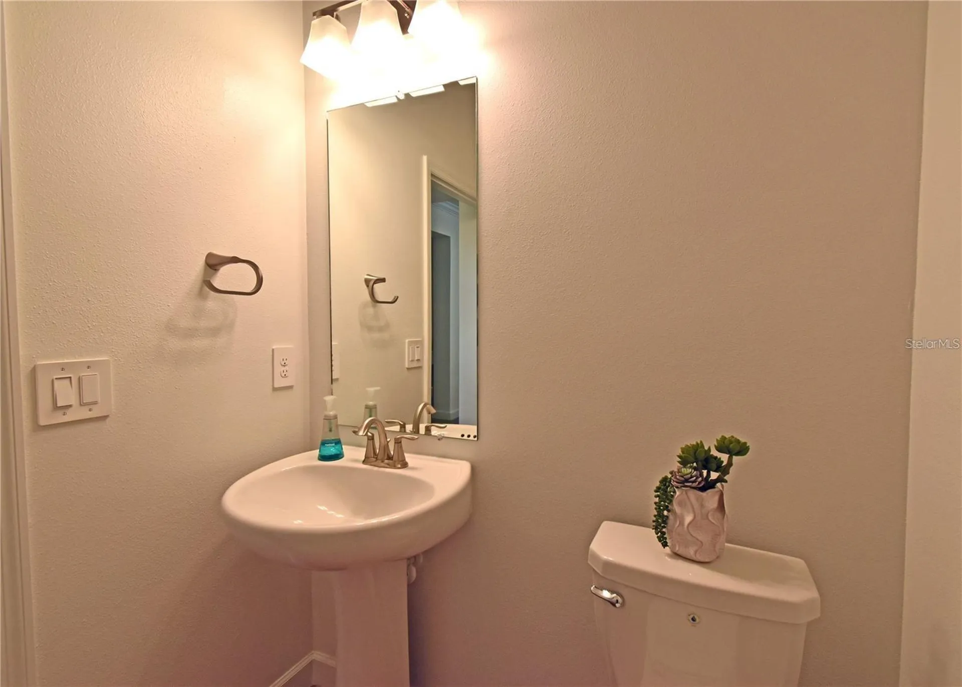 17304 Banded Gold Lane Wimauma FL 33598