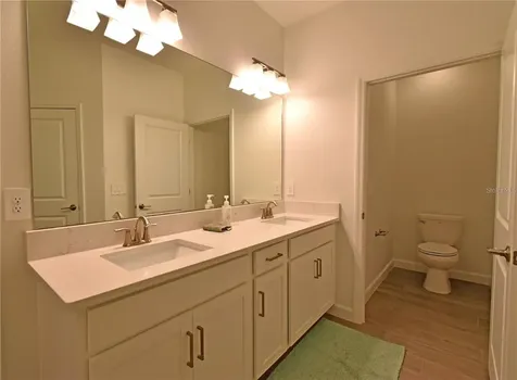 17304 Banded Gold Lane Wimauma FL 33598
