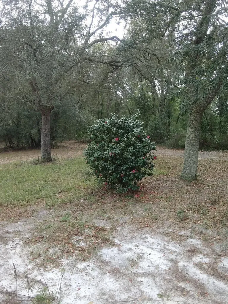 2410 NW 117th Place Branford FL 32008