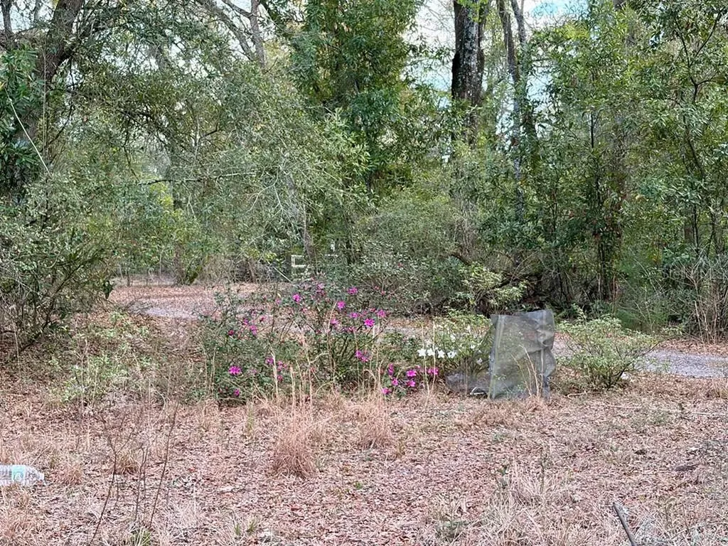 2410 NW 117th Place Branford FL 32008