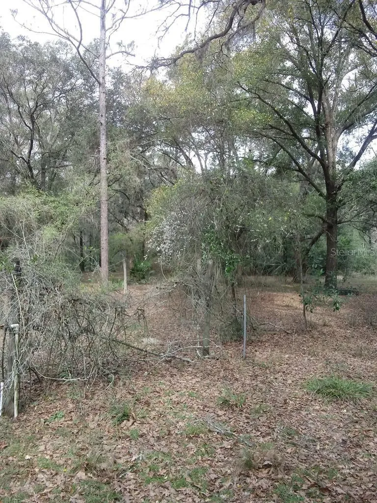 2410 NW 117th Place Branford FL 32008