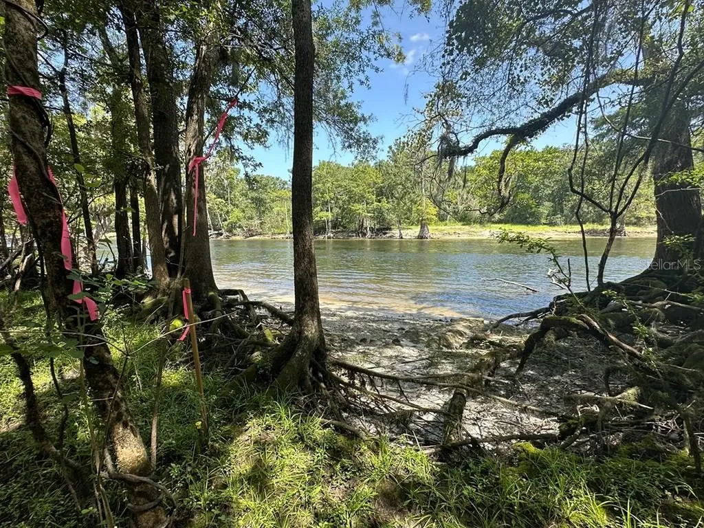 2410 NW 117th Place Branford FL 32008