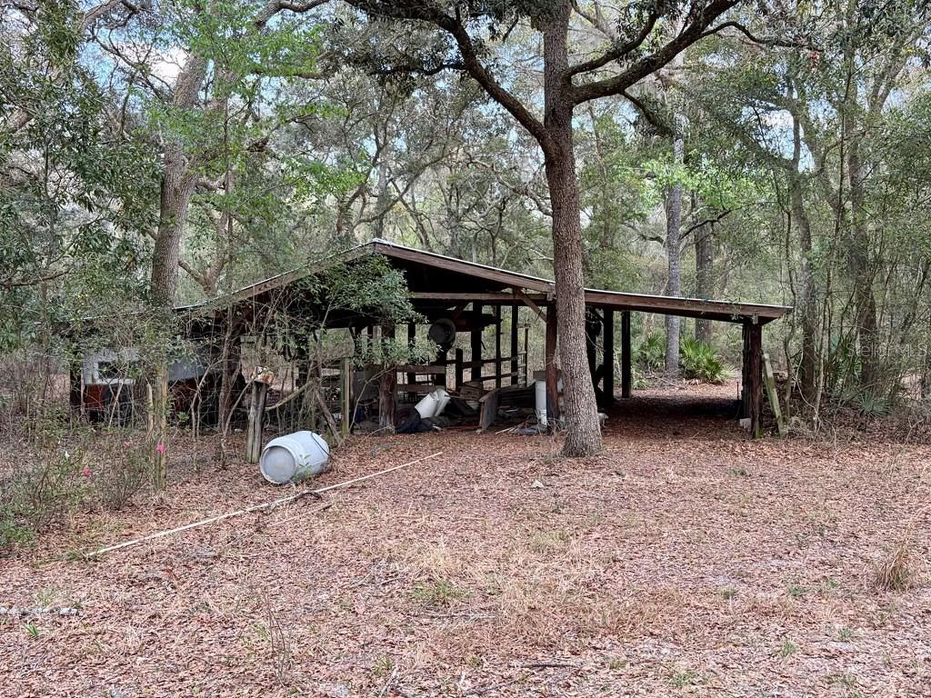 2410 NW 117th Place Branford FL 32008