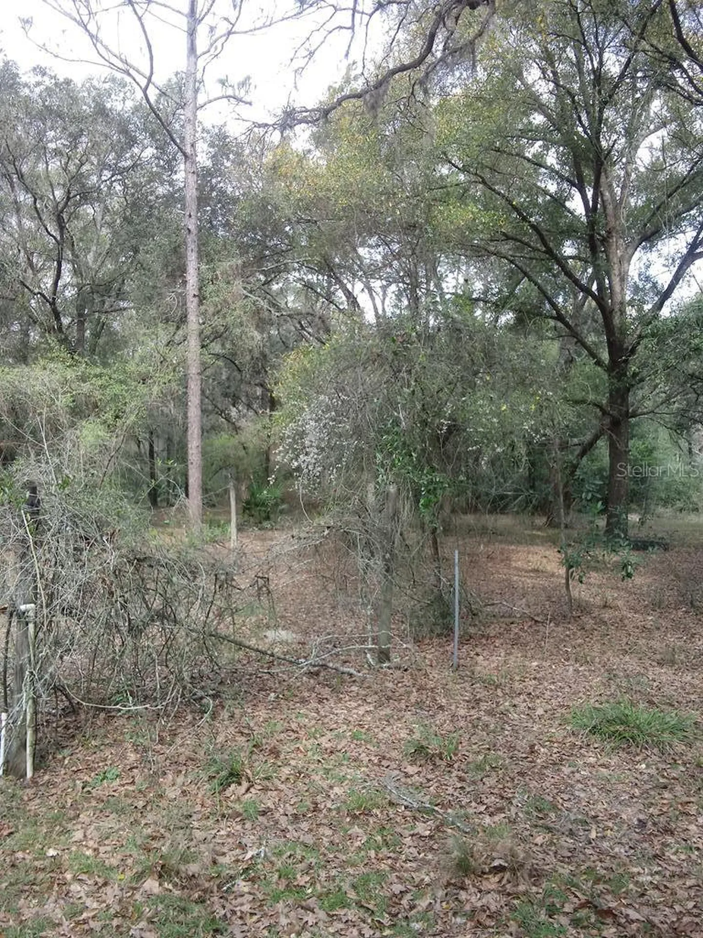 2410 NW 117th Place Branford FL 32008