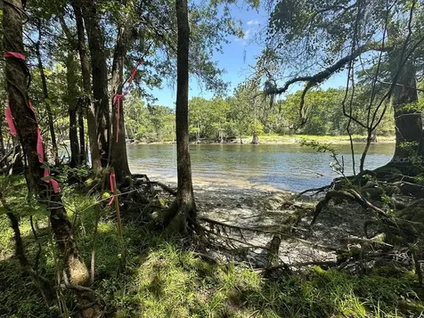 2410 NW 117th Place Branford FL 32008