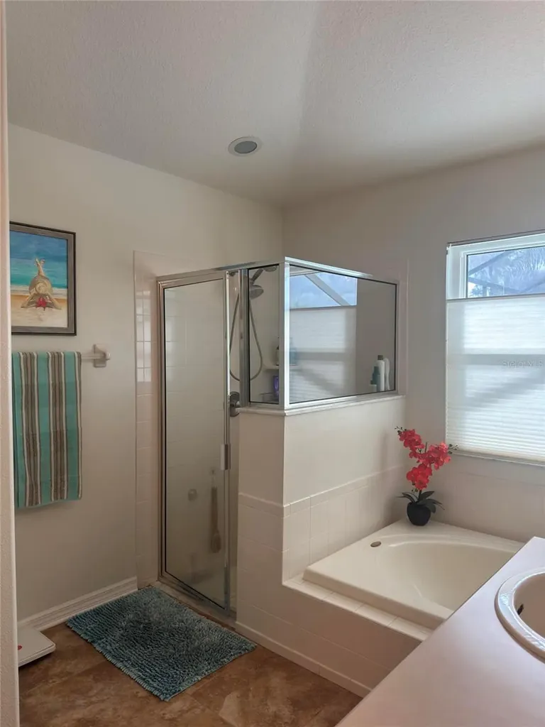 8144 Sanguinelli Road Land O Lakes FL 34637